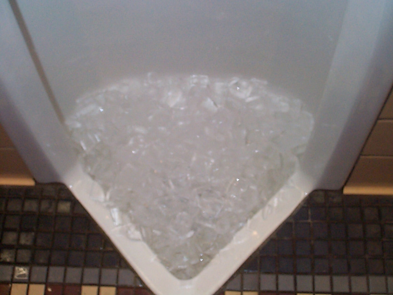 Ice-Urinal-2.jpg