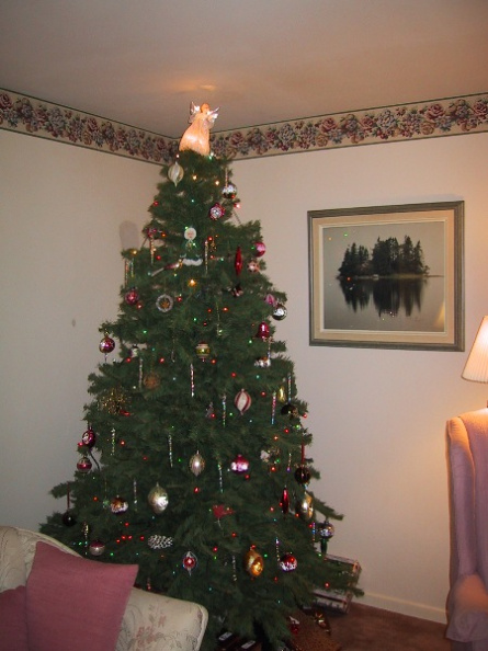 Christmas-Tree-00.jpg