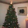 Christmas-Tree-00