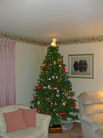 Christmas-Tree-98