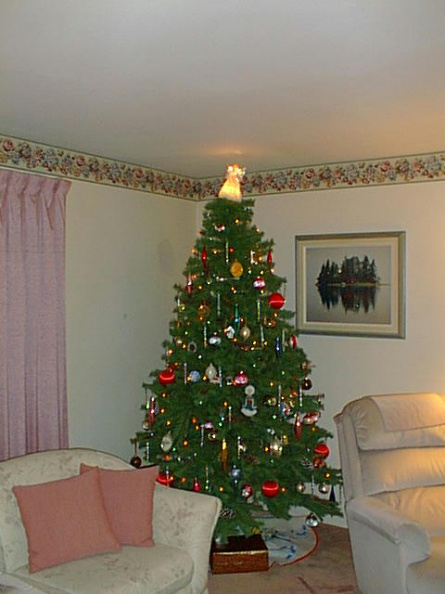 Christmas-Tree-98.jpg
