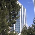 Purdys-Towers-2